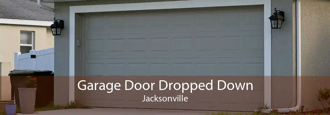 Garage Door Dropped Down Jacksonville