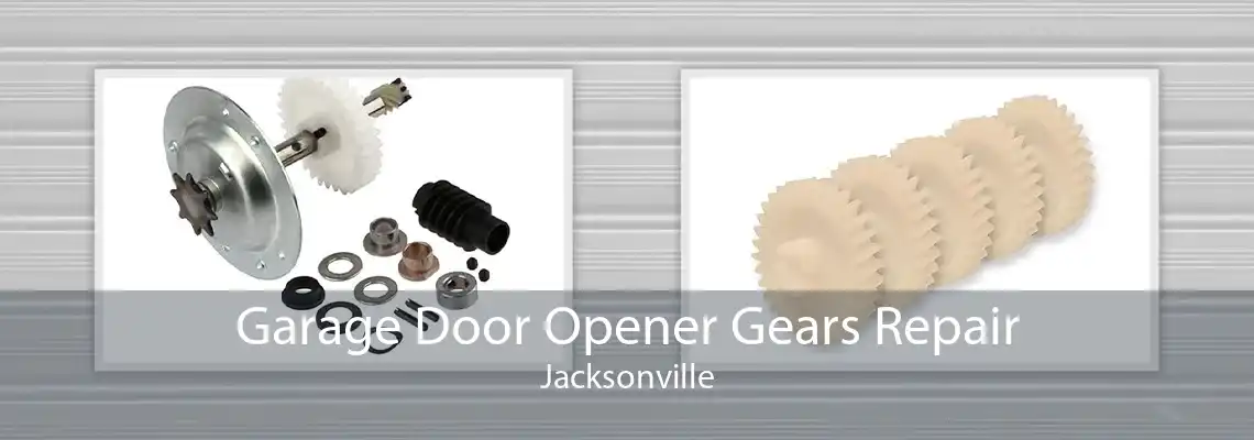 Garage Door Opener Gears Repair Jacksonville